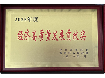 2025年度经济高质量发展贡献奖